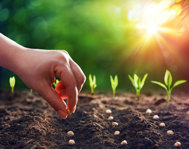 Seeds & Plantlets Supply